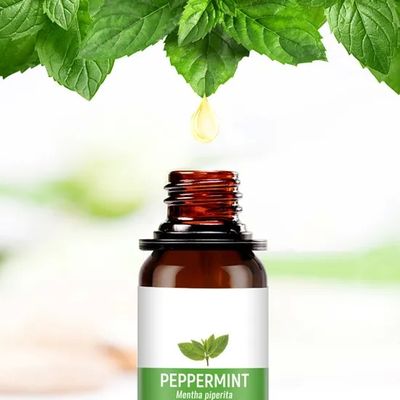Imported Functional Pure Plant Extraction 100% Pure Fragrance Oil Essential Oil 500ml for Diffusers
