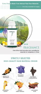 Wholesale Park Hyatt Commercial Electric Scent Diffuser Fragrance Oil Diffuser