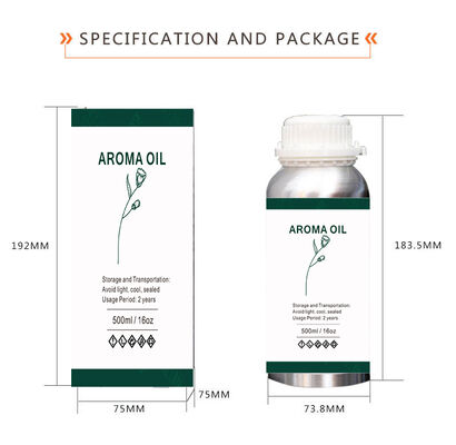 Branded Perfume Fragrance Oil for Candle and Soap Making Wholesale Diffuser Essential Oil New for Reed Burner Diffusers